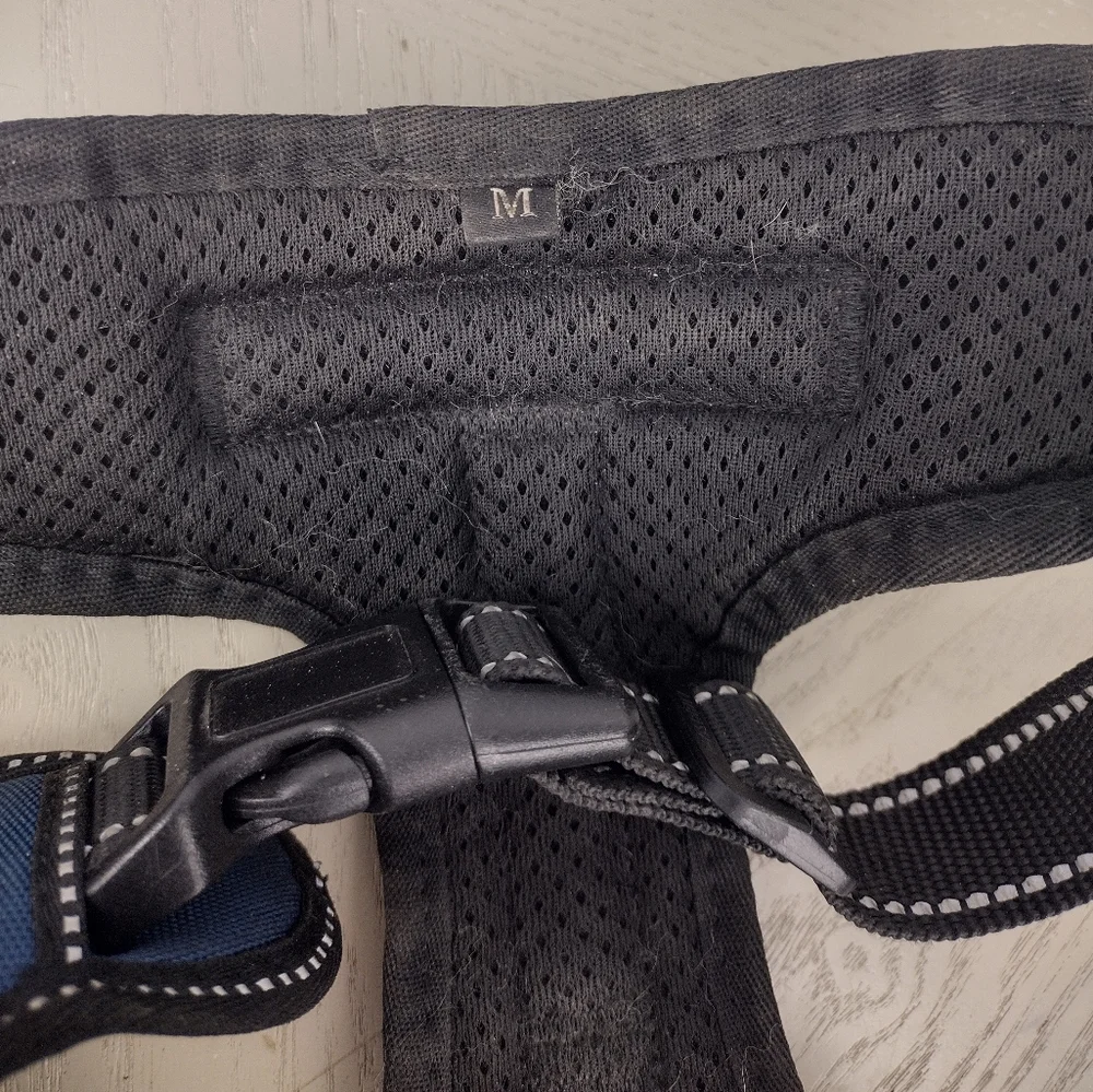 Masbrill Black and Blue Dog Harness with Leash Set size M